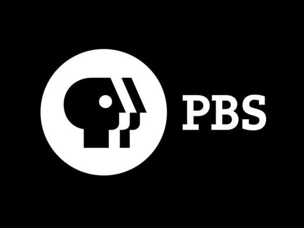 PBS website hacked for 2nd time, some data taken 