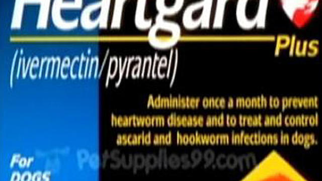 heartworm-drug.jpg 