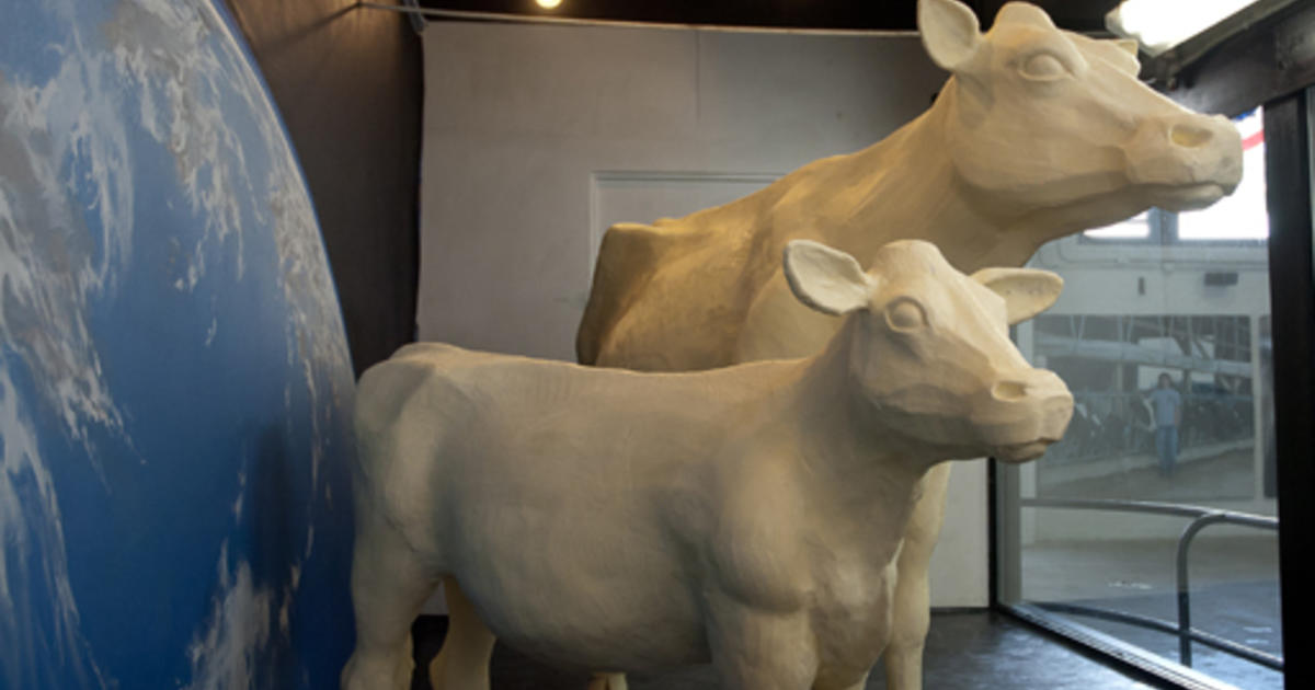 Are Butter Sculptures Really Art? - Outside Folk Gallery