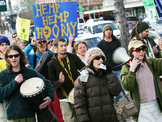 montana, weed, protest, marijuana, medical marijuana, pot 