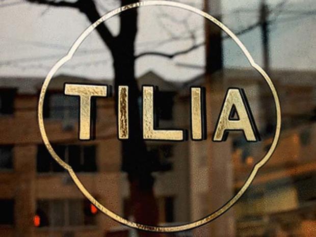 Tilia 
