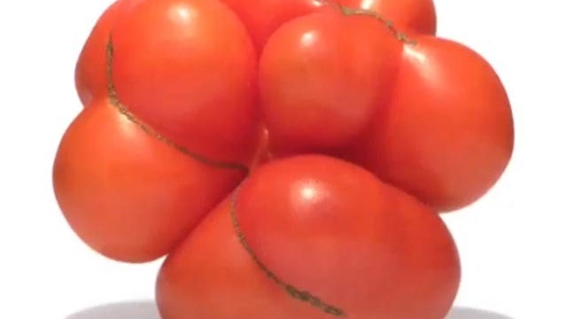 mutato tomato 