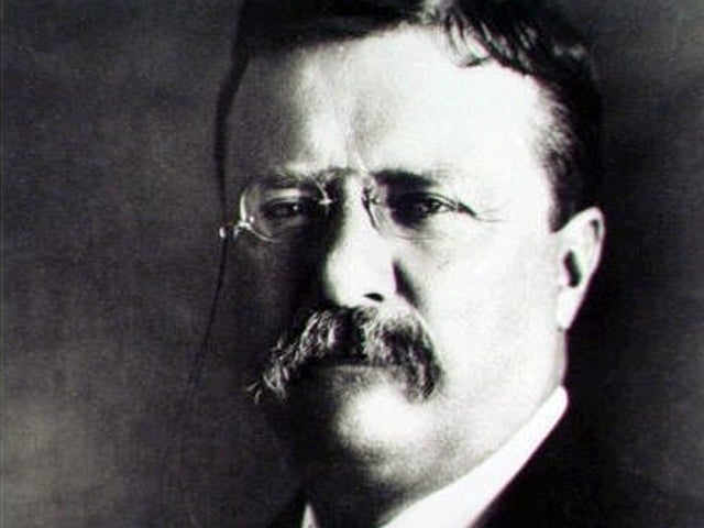 Theodore Roosevelt 