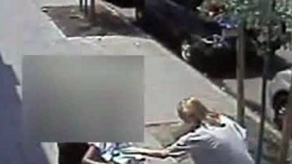 Brooklyn Suspect Snatched Purse From Elderly, Wheelchair-Bound Woman 