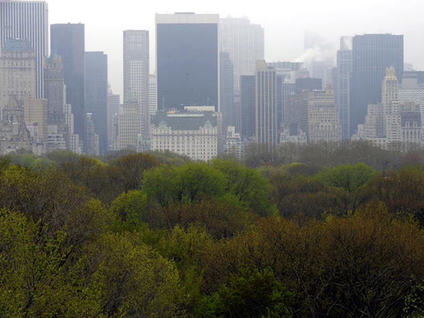 The top of the trees in Central Park and the New York City skyline are seen from the Metropolitan Museum of Art's roof garden April 25, 2011. 