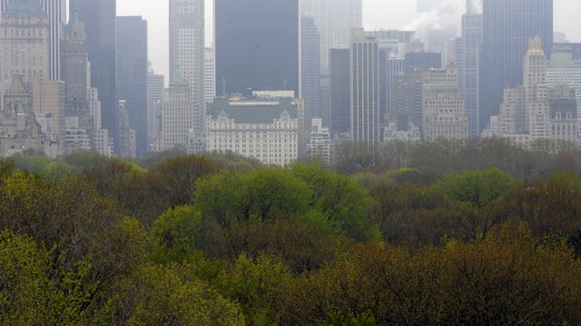 The top of the trees in Central Park and the New York City skyline are seen from the Metropolitan Museum of Art's roof garden April 25, 2011. 