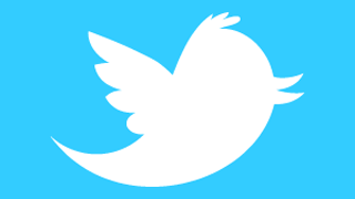 1twitter_newbird_boxed_whiteonblue.png 