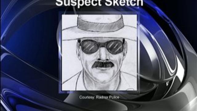 suspect-sketch.jpg 