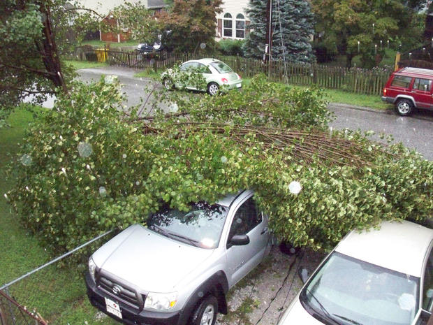 hurricane-irene-tree-on-car.jpg 