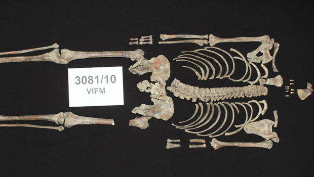 Bones of Australian bandit Ned Kelly identifiedÃƒÂ¢Ã‚?Ã‚? 