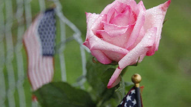 Shanksville_AP110909022334.jpg 