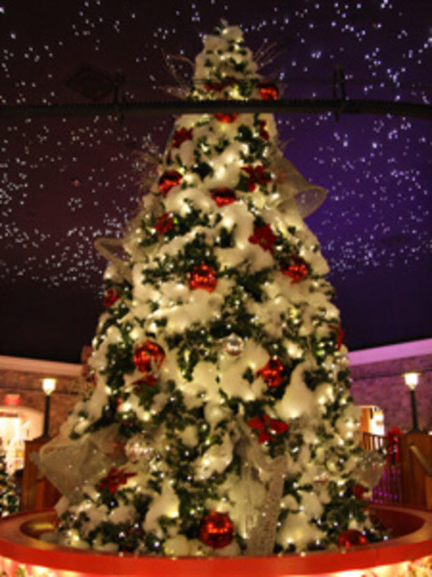 12.2 - Family and Pets - See Santa - Tree 