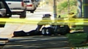 novato_rpg_091311.jpg 
