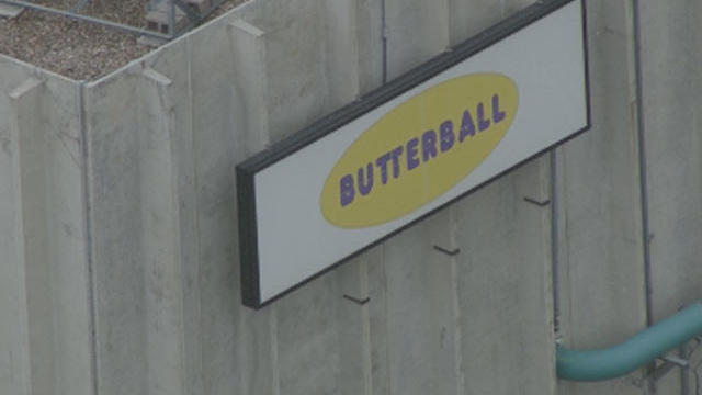 butterball.jpg 