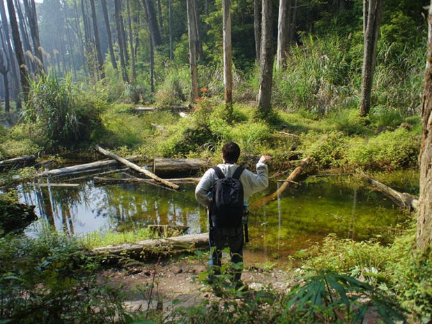LOL-worthy "teapotting" photos - it's the new "planking" 