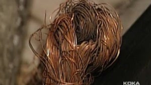 copperwire.jpg 