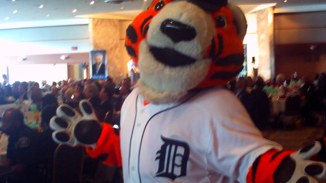 Taking in a Tigers game with PAWS, Detroit's favorite mascot 