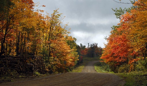 Fall_Foliage_AP110925113232.jpg 