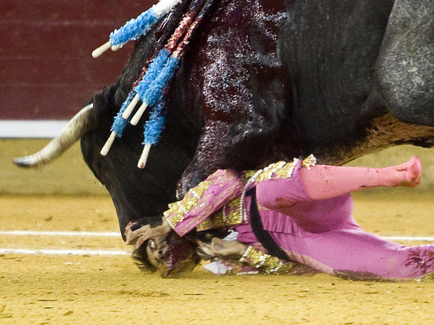 Bullfighter Juan Jose Padilla being gored. 