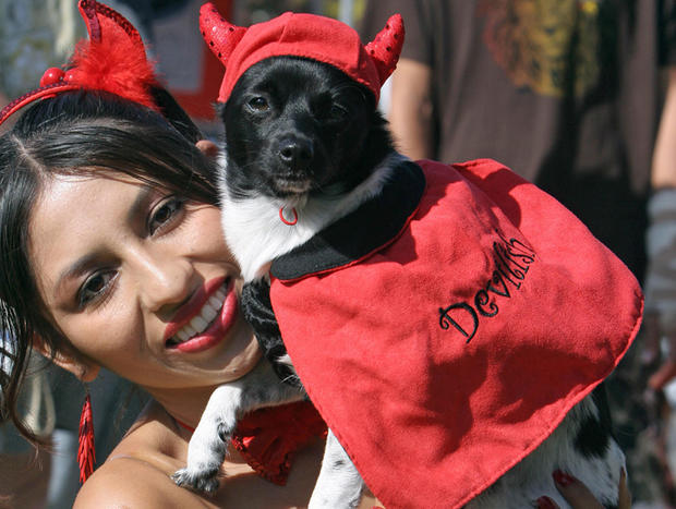 This puppy goes classic costume with a devilish outfit. 