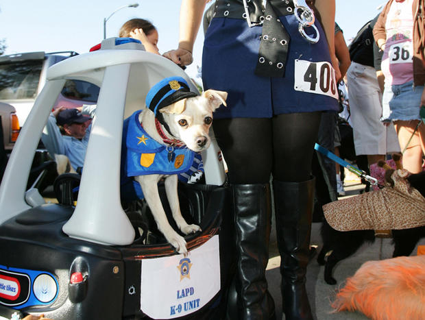 dog-as-cop-photo-by-robyn-beckafpgetty-images.jpg 