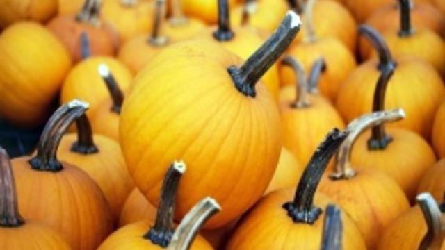 pumpkins-generic.jpg 