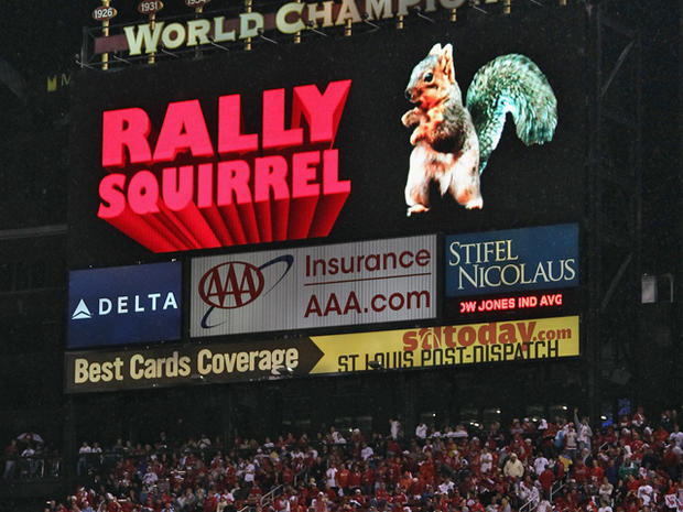 Rally Squirrel 