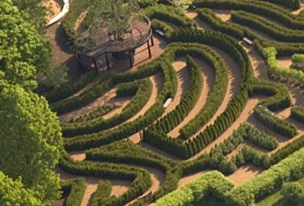 Maze Garden 