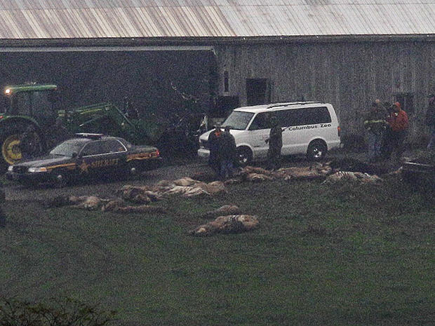 Investigators walk around a barn as carcasses lay on the ground at the Muskingum County Animal Farm, Oct. 19, 2011, in Zanesville, Ohio. 