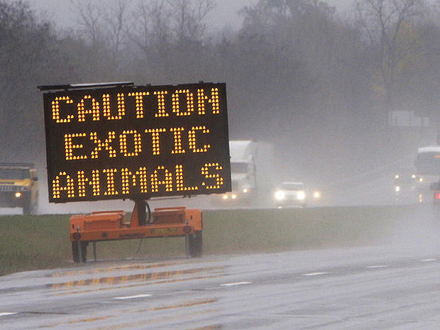 A sign warns passing motorists about exotic animals on the loose from a wildlife preserve October 19, 2011 in Zanesville, Ohio.  