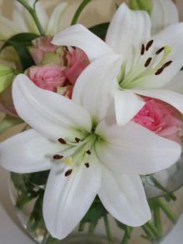 1/31/12 - shopping and style - spoiling loved ones - Lilies - Juliet Farmer 