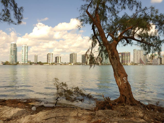 miami_80512.jpg 