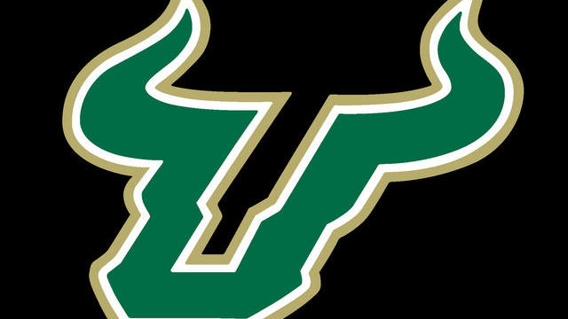 south-florida-bulls-logo.jpg 