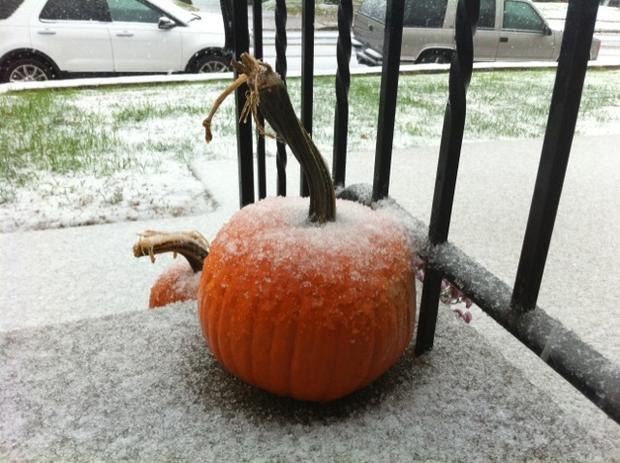 snow-pumpkins.jpg 