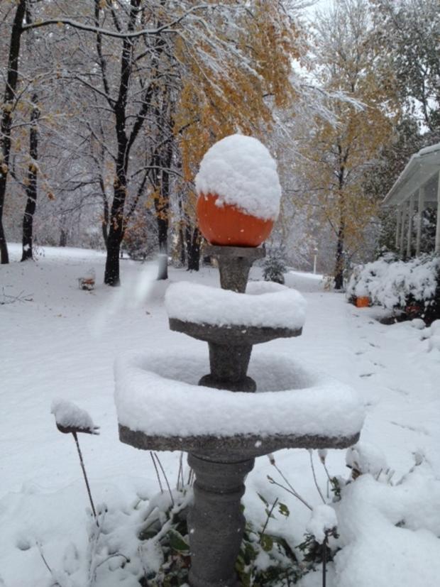 october-snow-manchester-pumpkin.jpg 