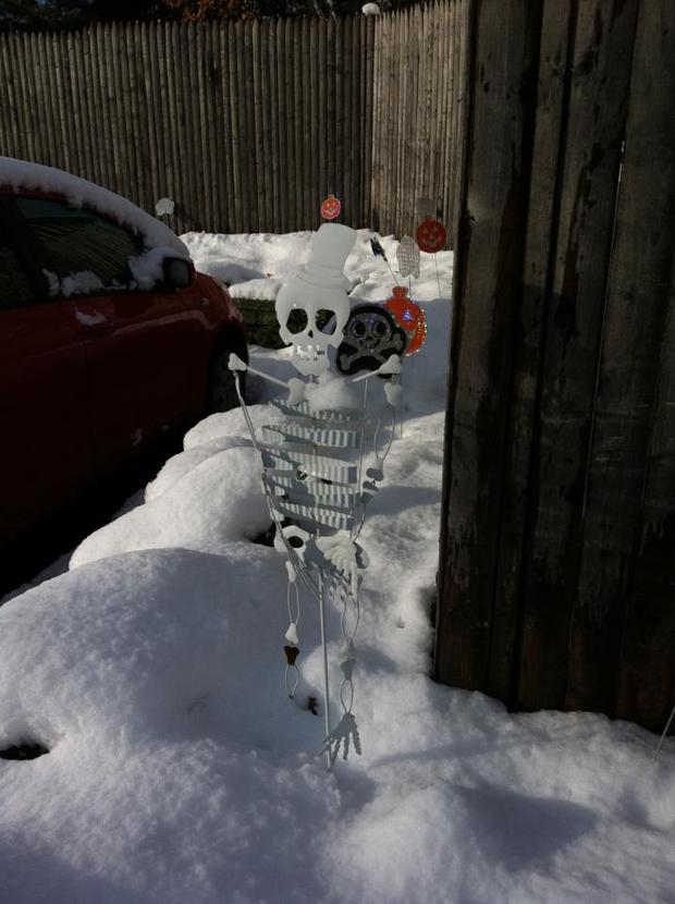 skeleton-halloween.jpg 