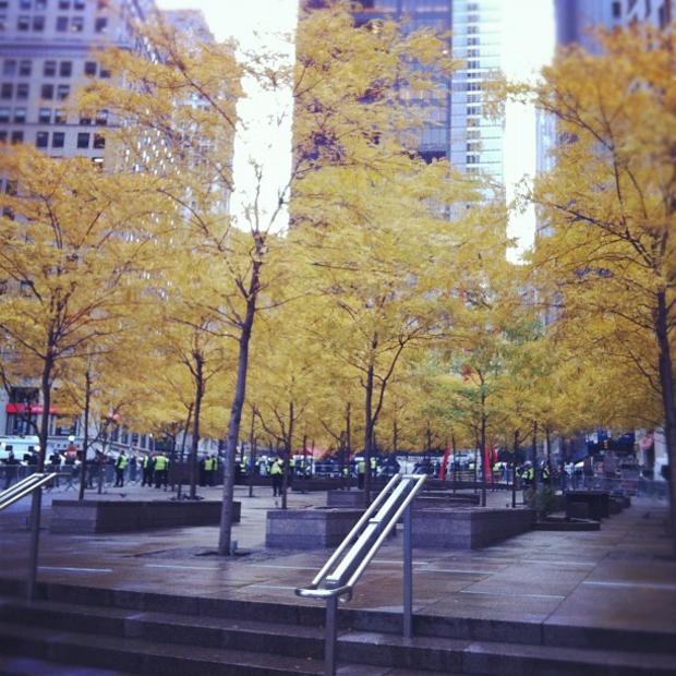 Zucotti Park completely empty after Police evicted protesters  