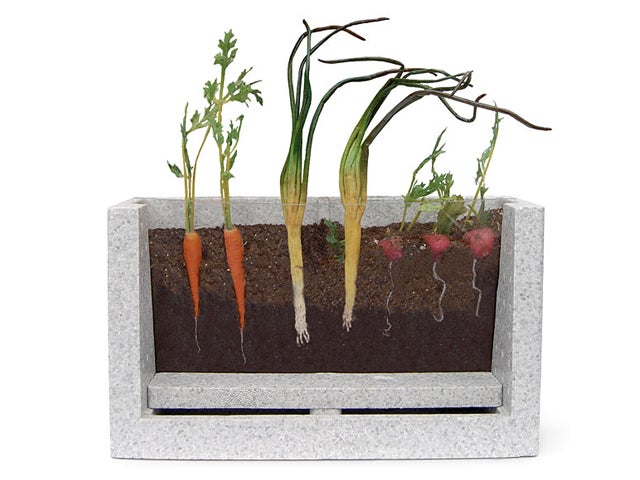 Root Vue Farm  