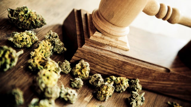 Gavel and marijuana 