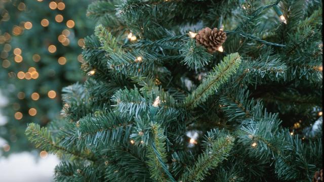 christmas-tree-generic-up-close.jpg 