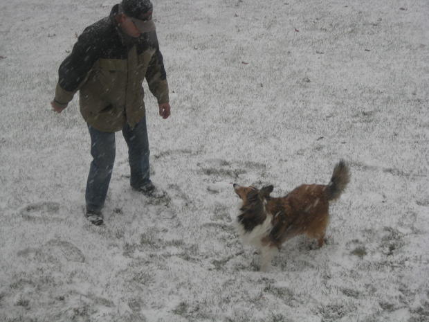 snow-and-dog.jpg 