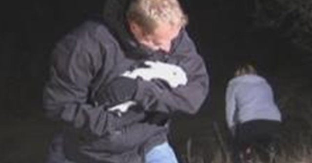 Run Rabbit Run: Volunteers rescue dozens of rabbits along Colo. road ...