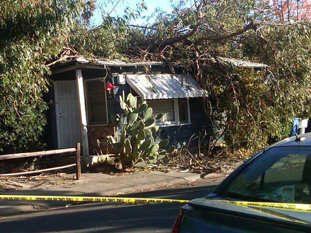 Sacramento home damaged by tree 