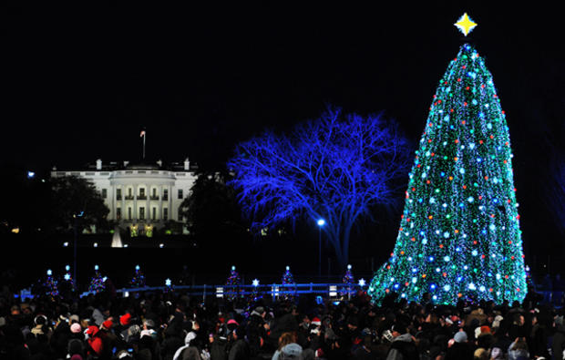 The National Christmas Tree, Washington, D.C. 