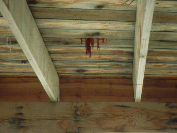 Tiede cabin crime scene photo 