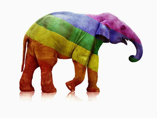 Rainbow Elephant 