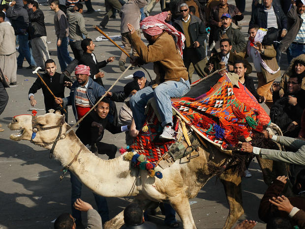 Egyptian president Hosni Mubarek rides a camel through the melee during a clash 