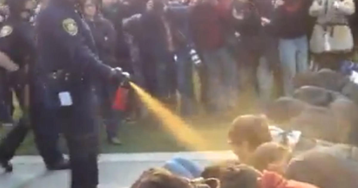 University of California to pay nearly 1M to peppersprayed Occupy