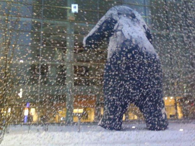 big-blue-bear-in-snow.jpg 
