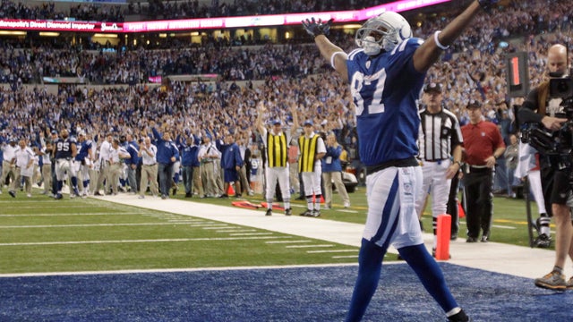 Reggie Wayne exults after his touchdown catch  